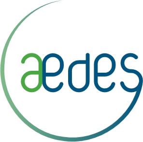 Aedes